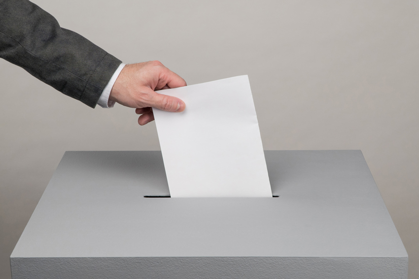 Wahl Bild: Wahl